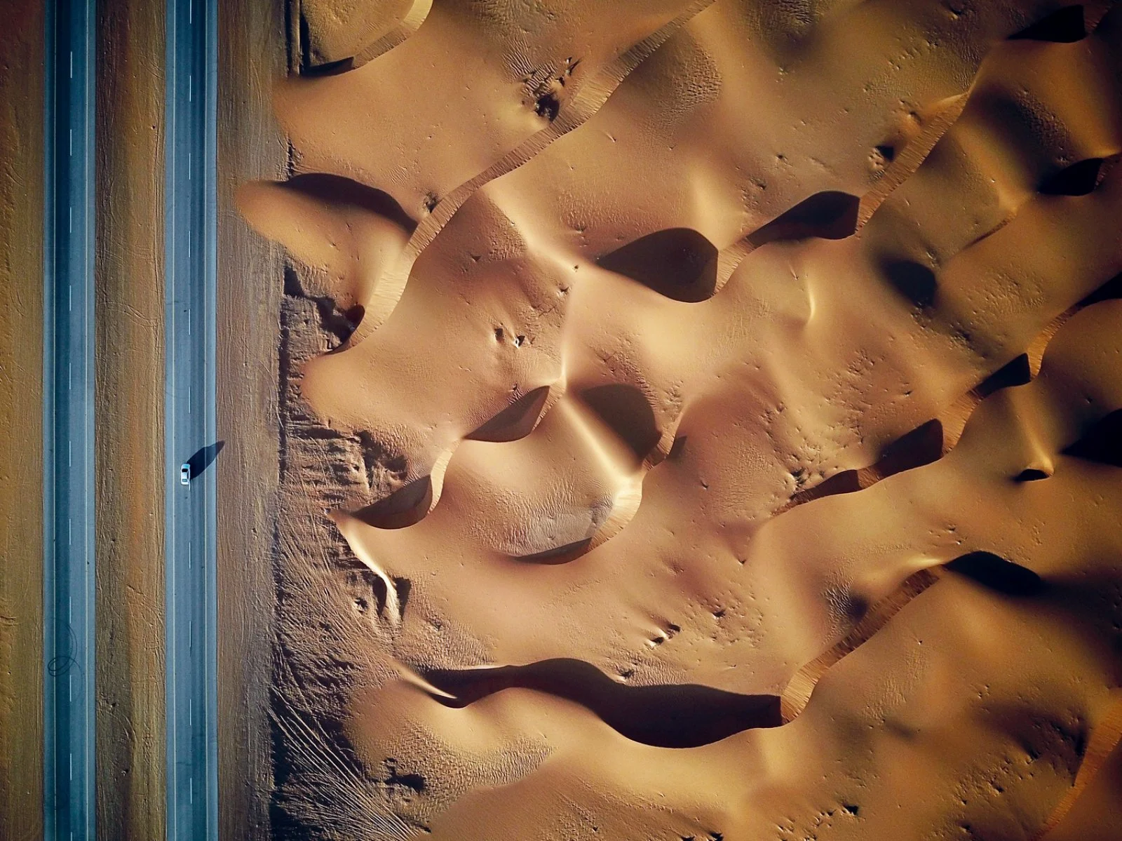 Principi Del Deserto 