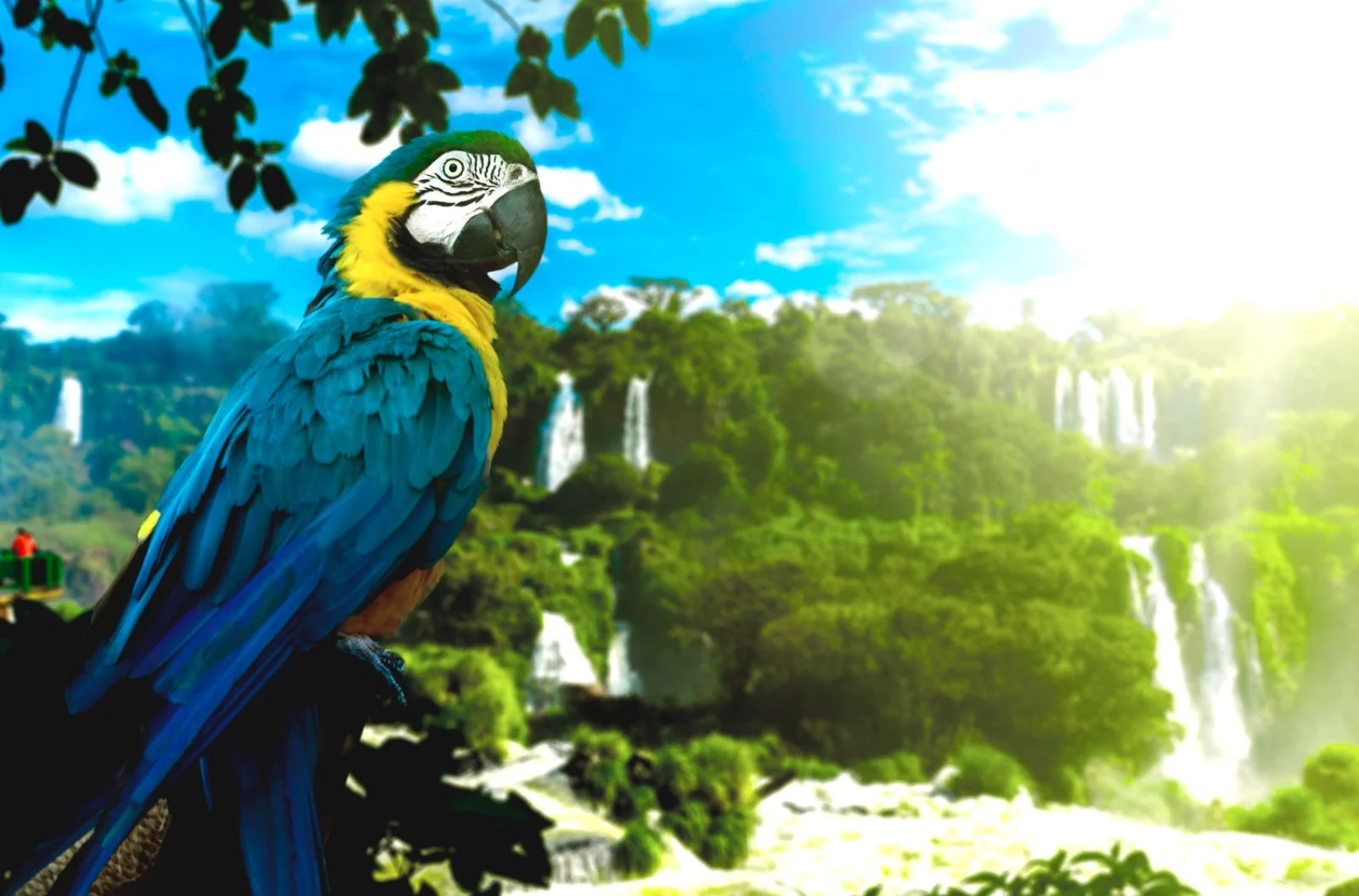 Rio de Janeiro - Iguassu