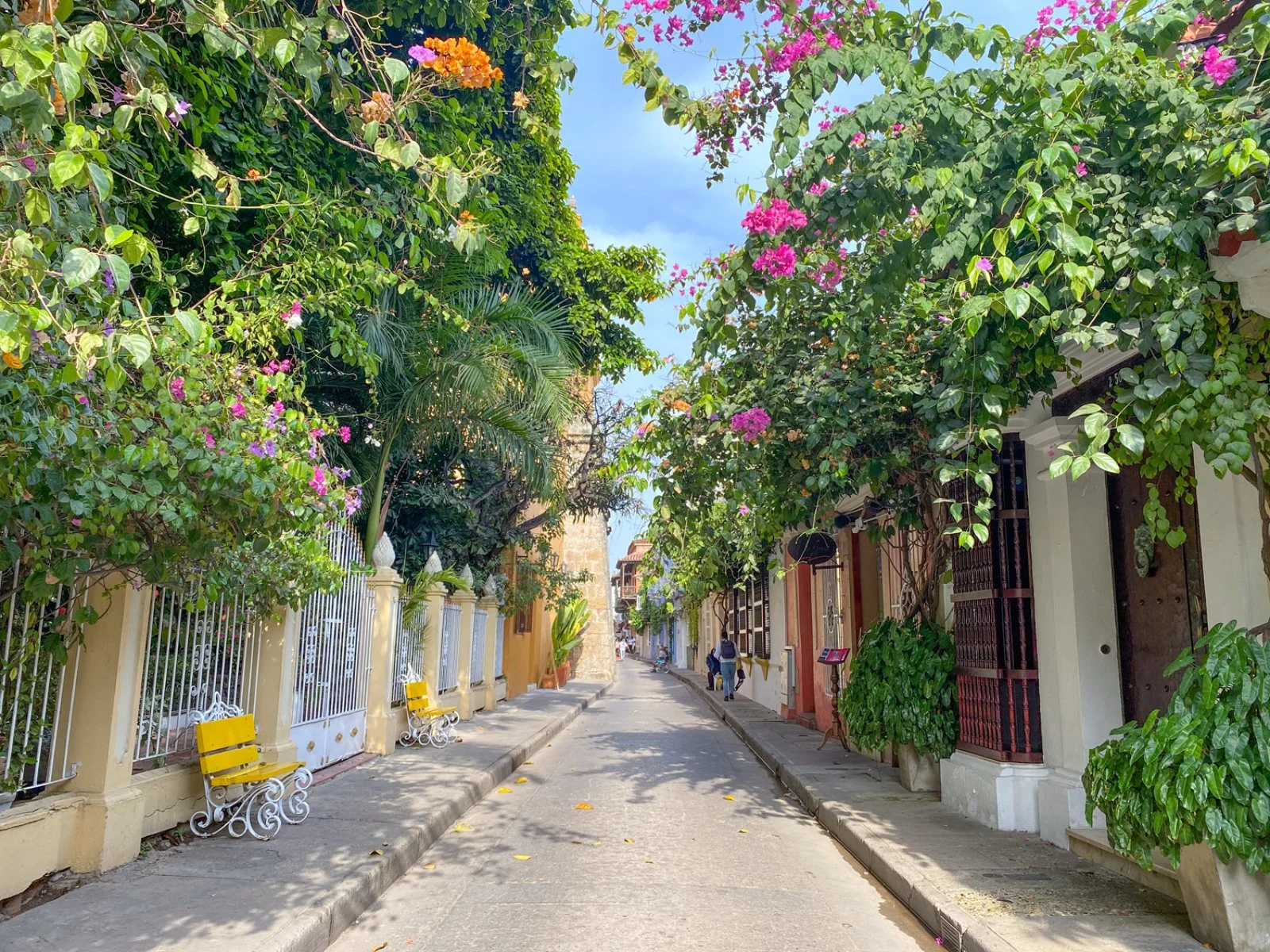 Cartagena - Isla Mucura