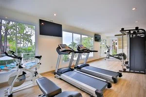 palestra