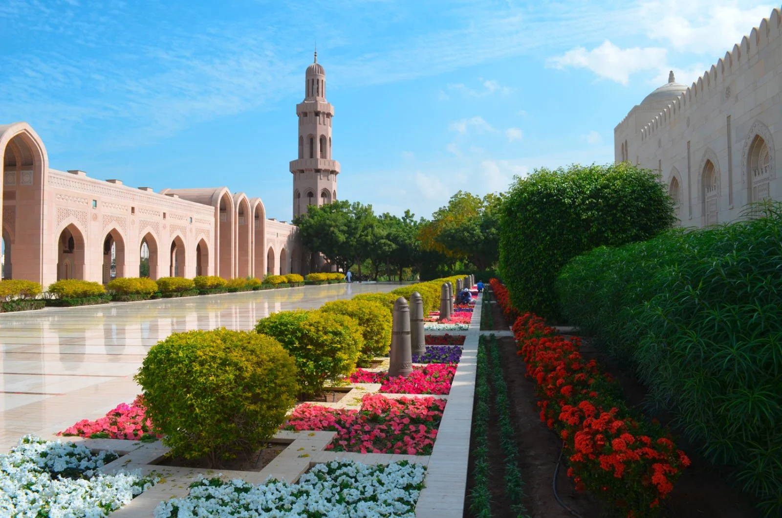 Intour Muscat E Mare Salalah Edition Intour Muscat E Mare Salalah Edition