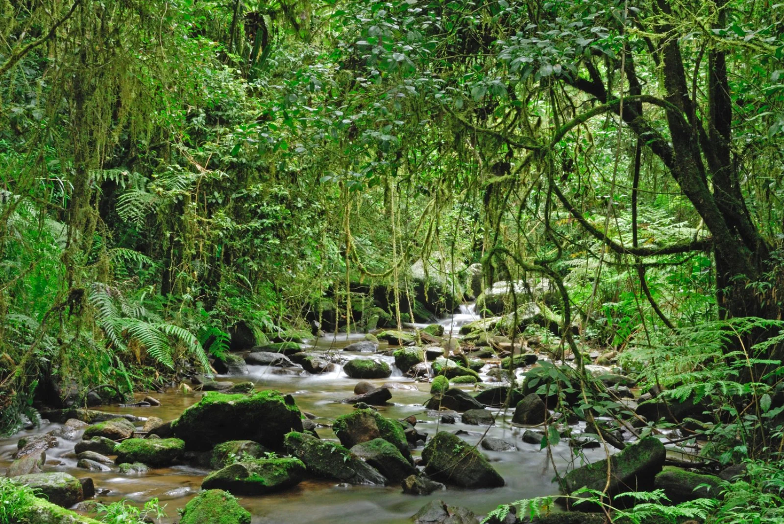 DIEGO SUAREZ/MONTAGNE D'AMBRE/DIEGO SUAREZ (60 km)