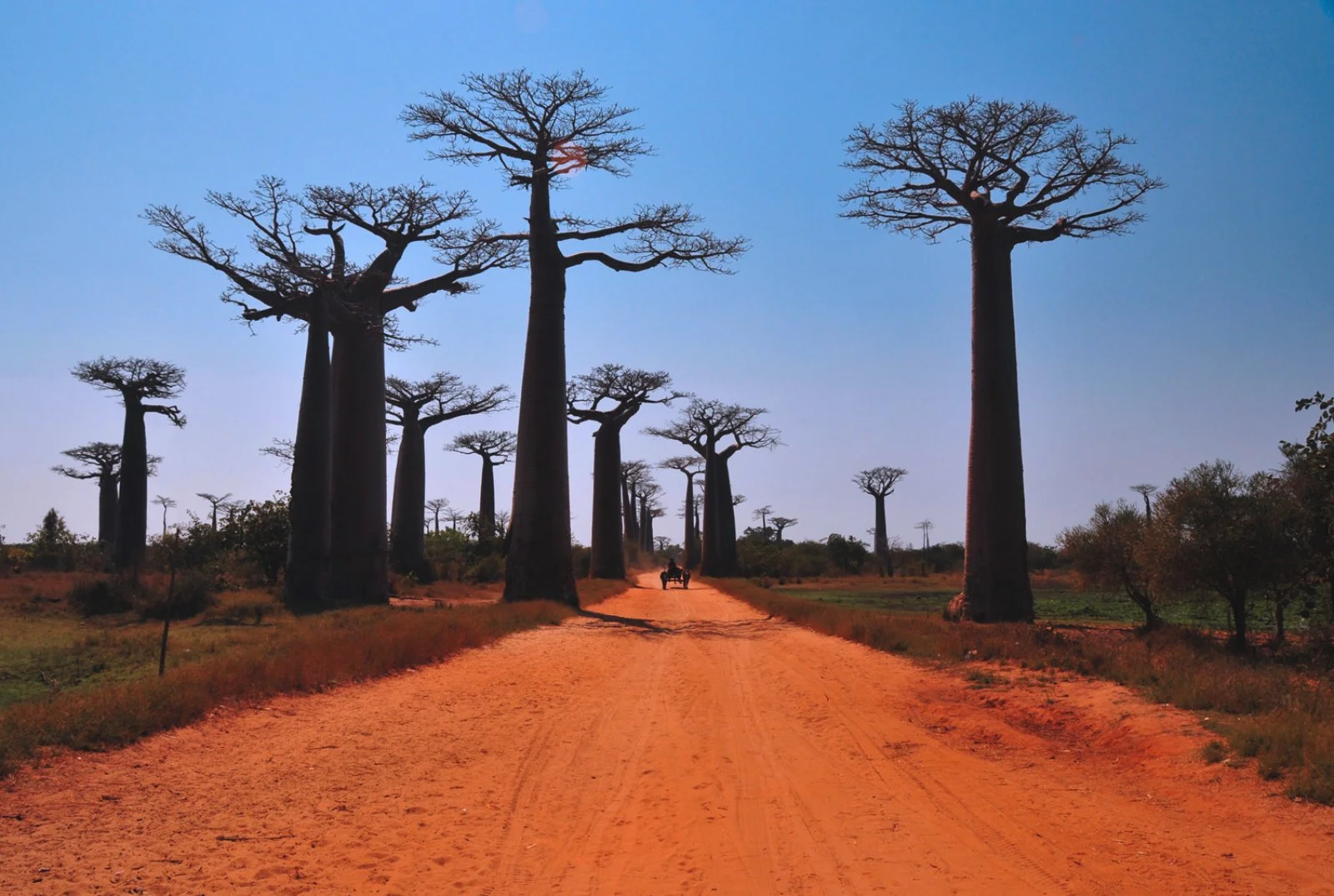 DIEGO SUAREZ/MONTAGNE D'AMBRE/DIEGO SUAREZ (60 km)
