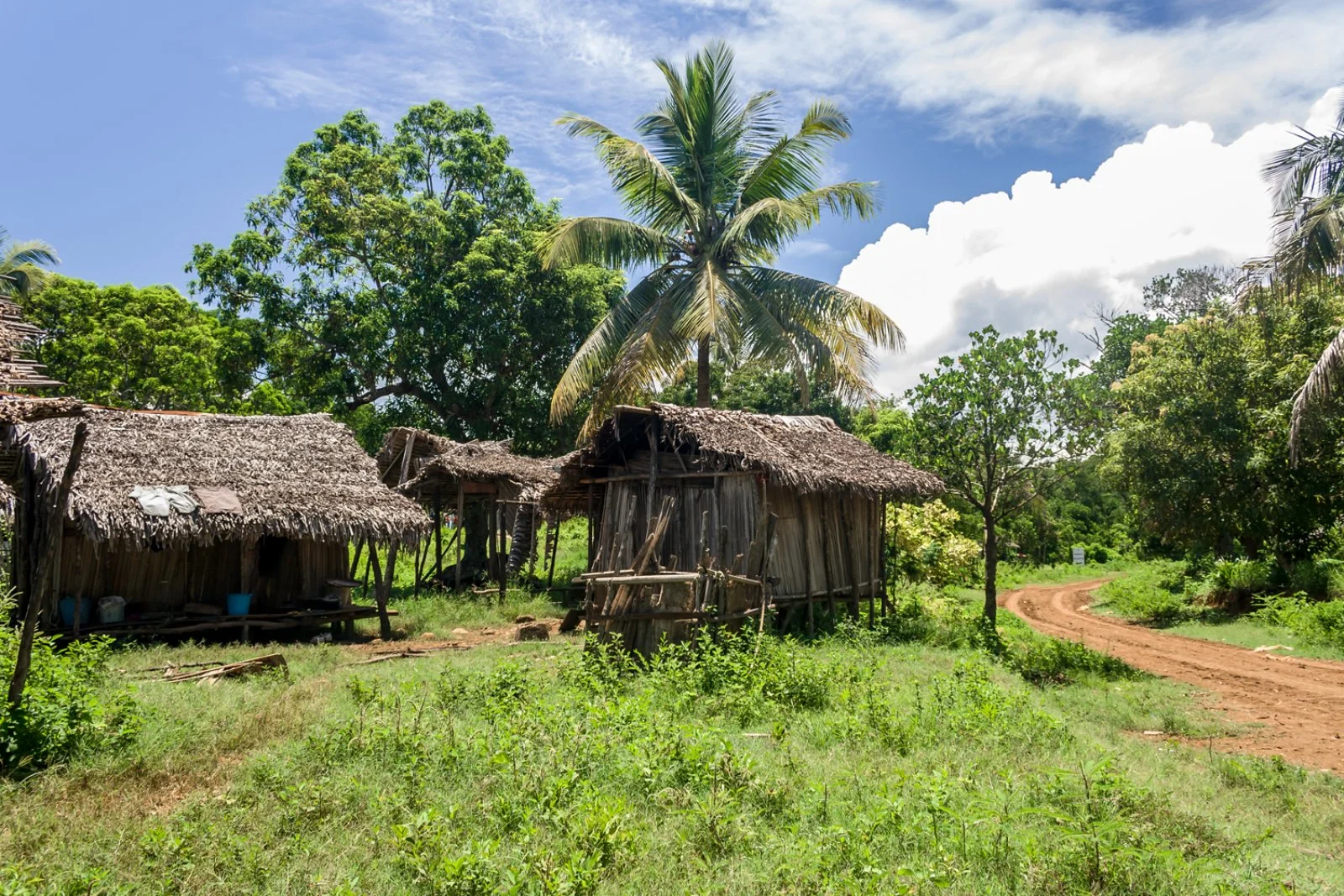 NOSY BE/HELL VILLE/ANKIFY/AMBILOBE/DIEGO SUAREZ (259 km)