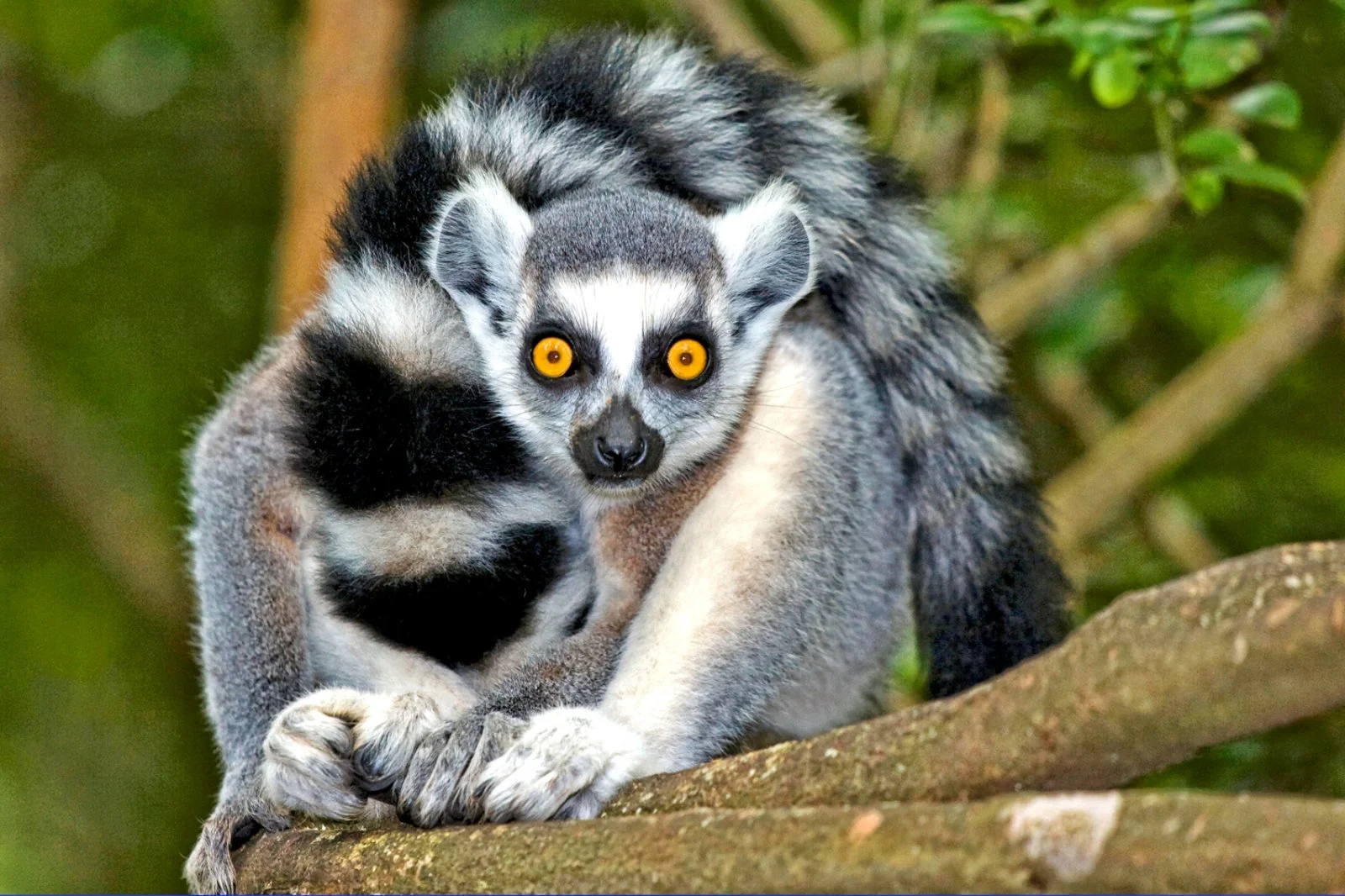 Tour Avaratra E Mare Sabato Tour Avaratra E Mare Sabato