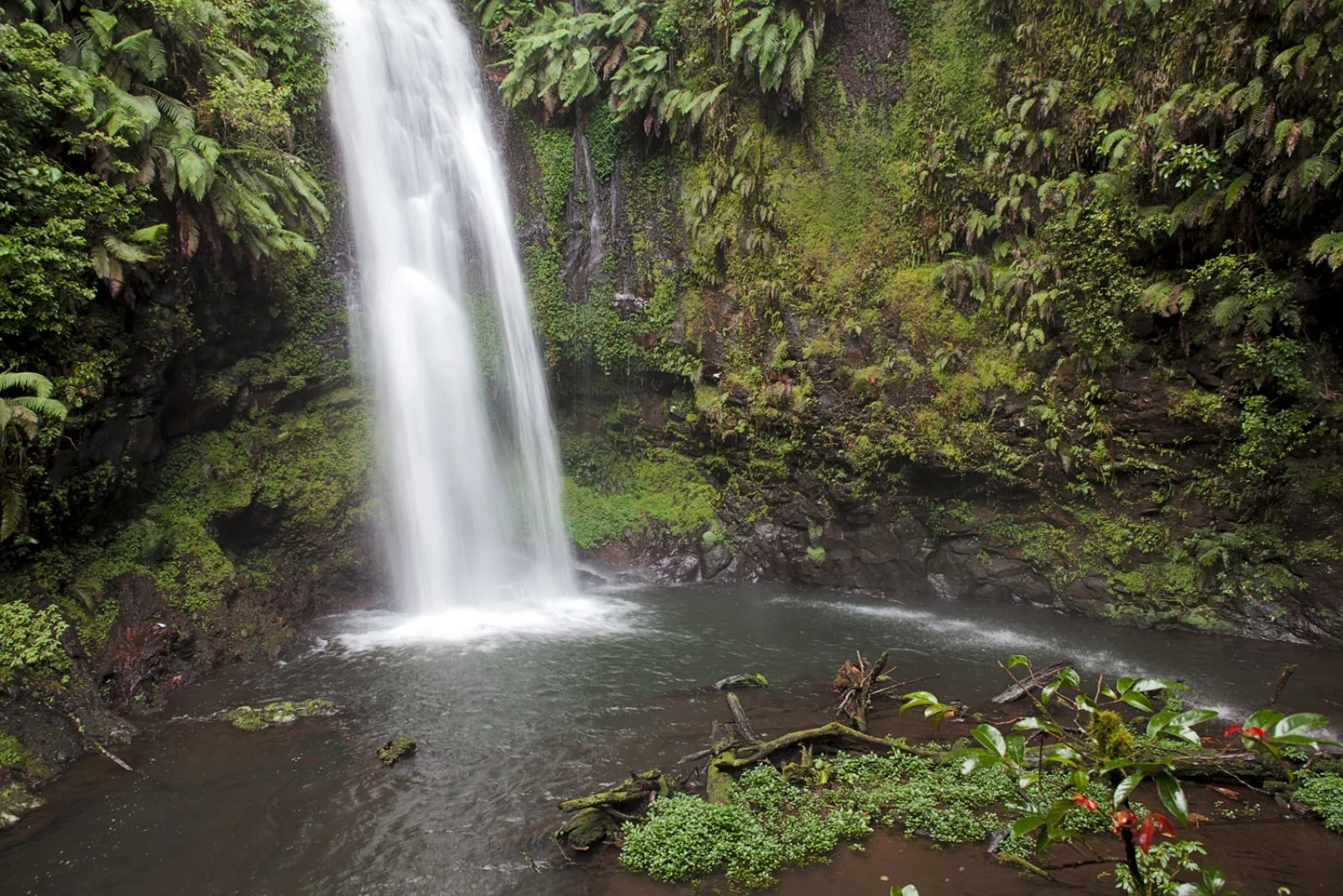 DIEGO SUAREZ/TRE BAIE/MONTAGNA DEI FRANCESI/DIEGO SUAREZ (70 km)