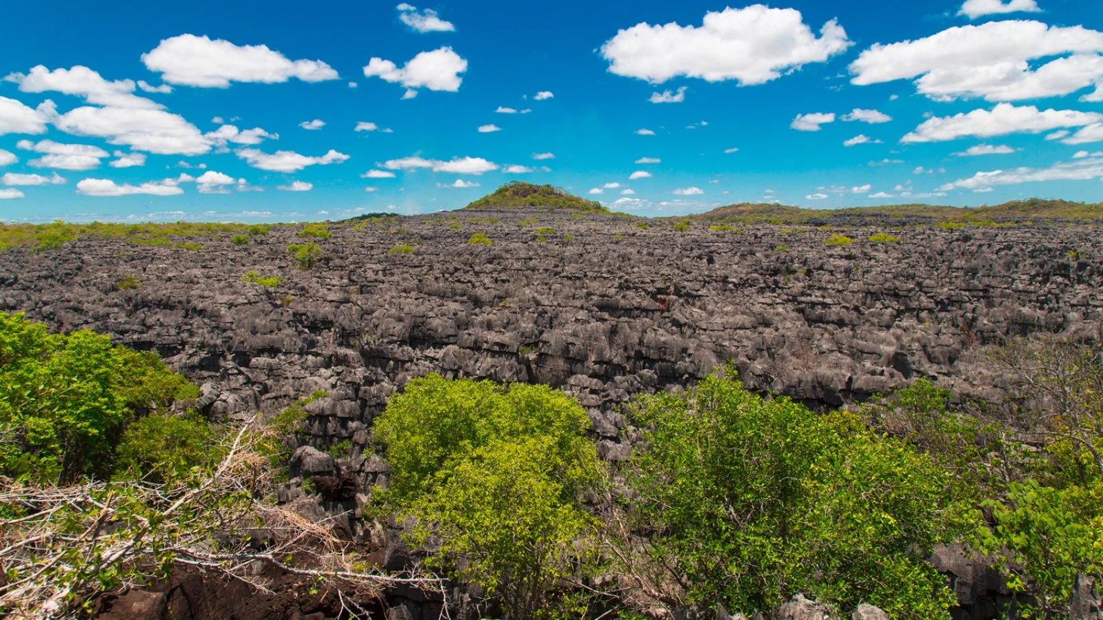 JOFFREVILLE/PARCO DELL'ANKARANA OVEST (150 km)