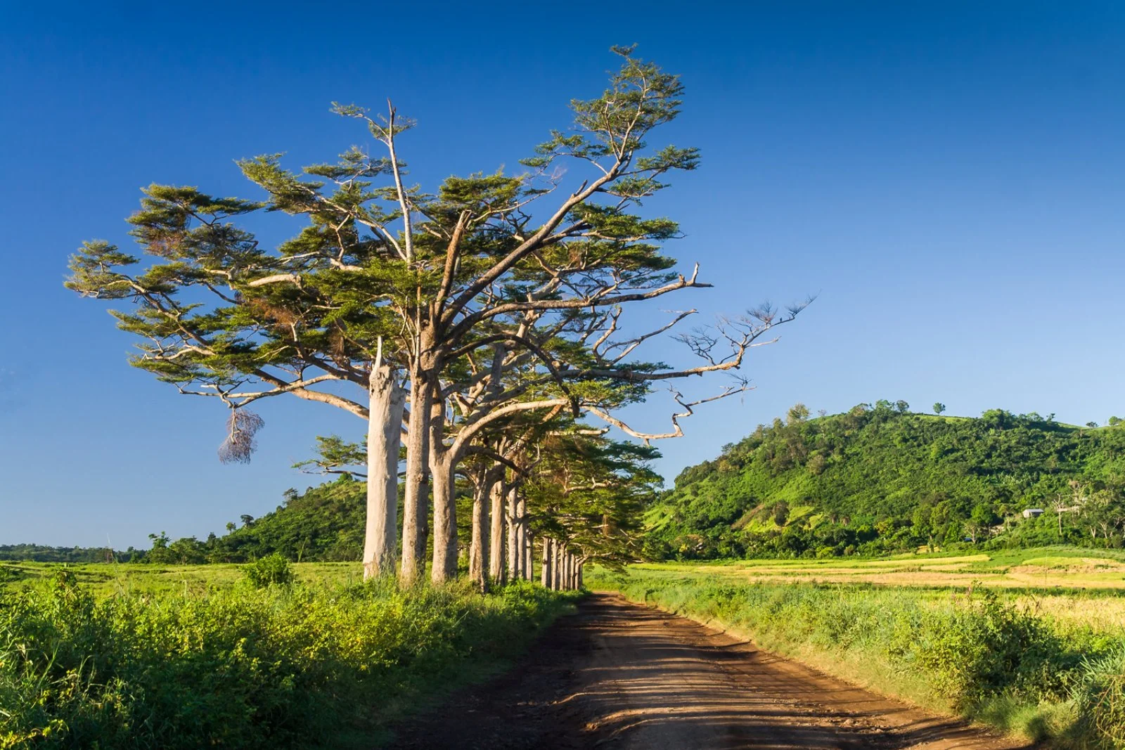 DIEGO SUAREZ/JOFFREVILLE/MONTAGNE D'AMBRE/JOFFREVILLE (50 km)