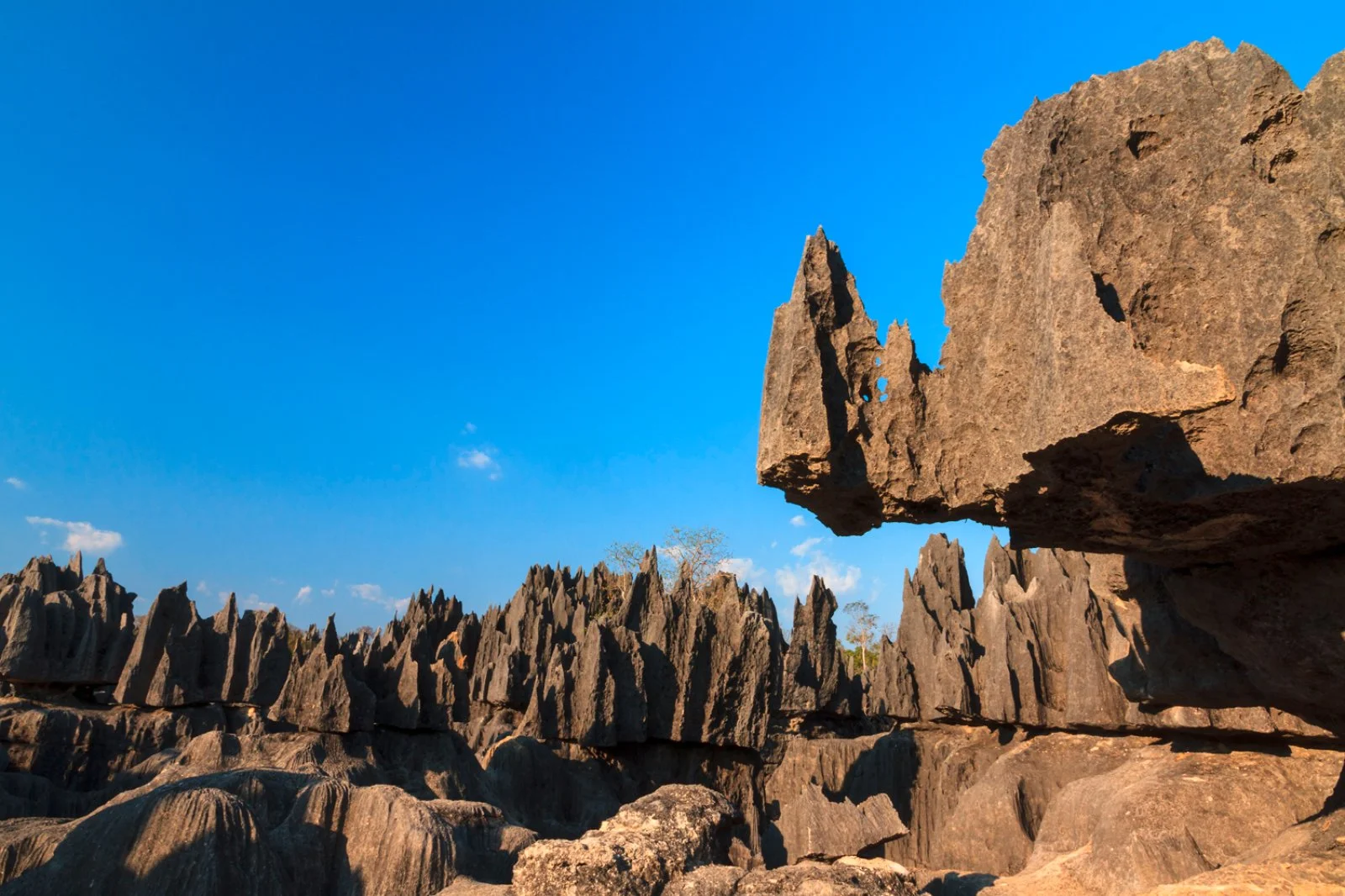 Tour Experience Antakarana - Tsingy Grigi