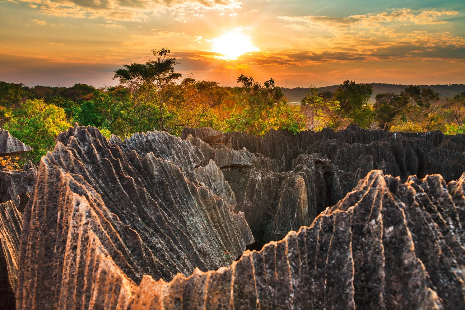 Nosy Be/Ankify/Plantation Millot/Ambilobe/Tsingy Rossi/Diego Suarez (320 km)