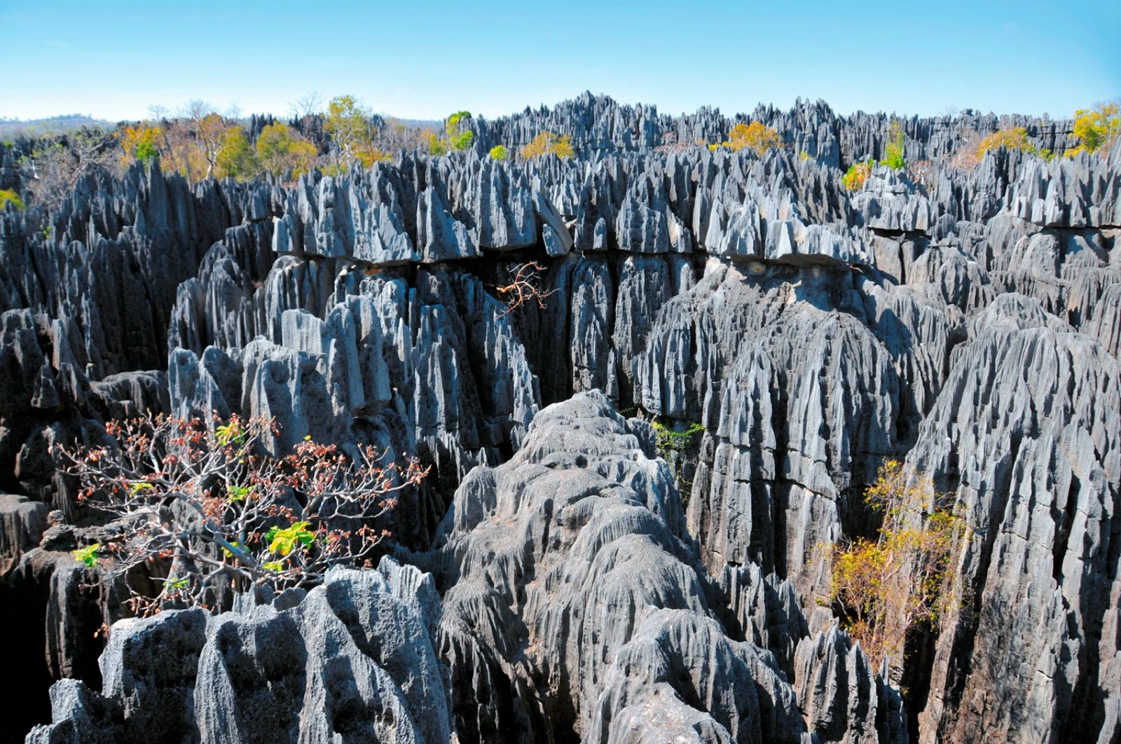 Diego Suarez/Parco dell'Ankarana/Ambilobe (170 km) - immagine 1 di 3
