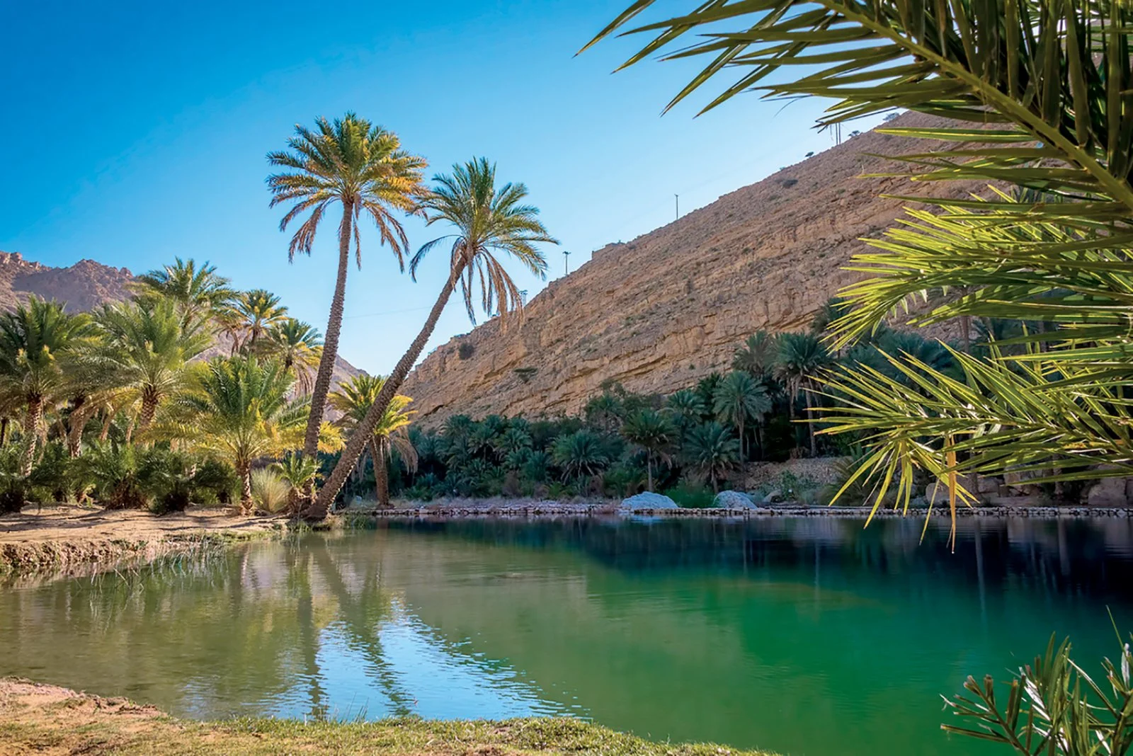 Tour Colori Dell'Oman - Wadi Bani Khalid