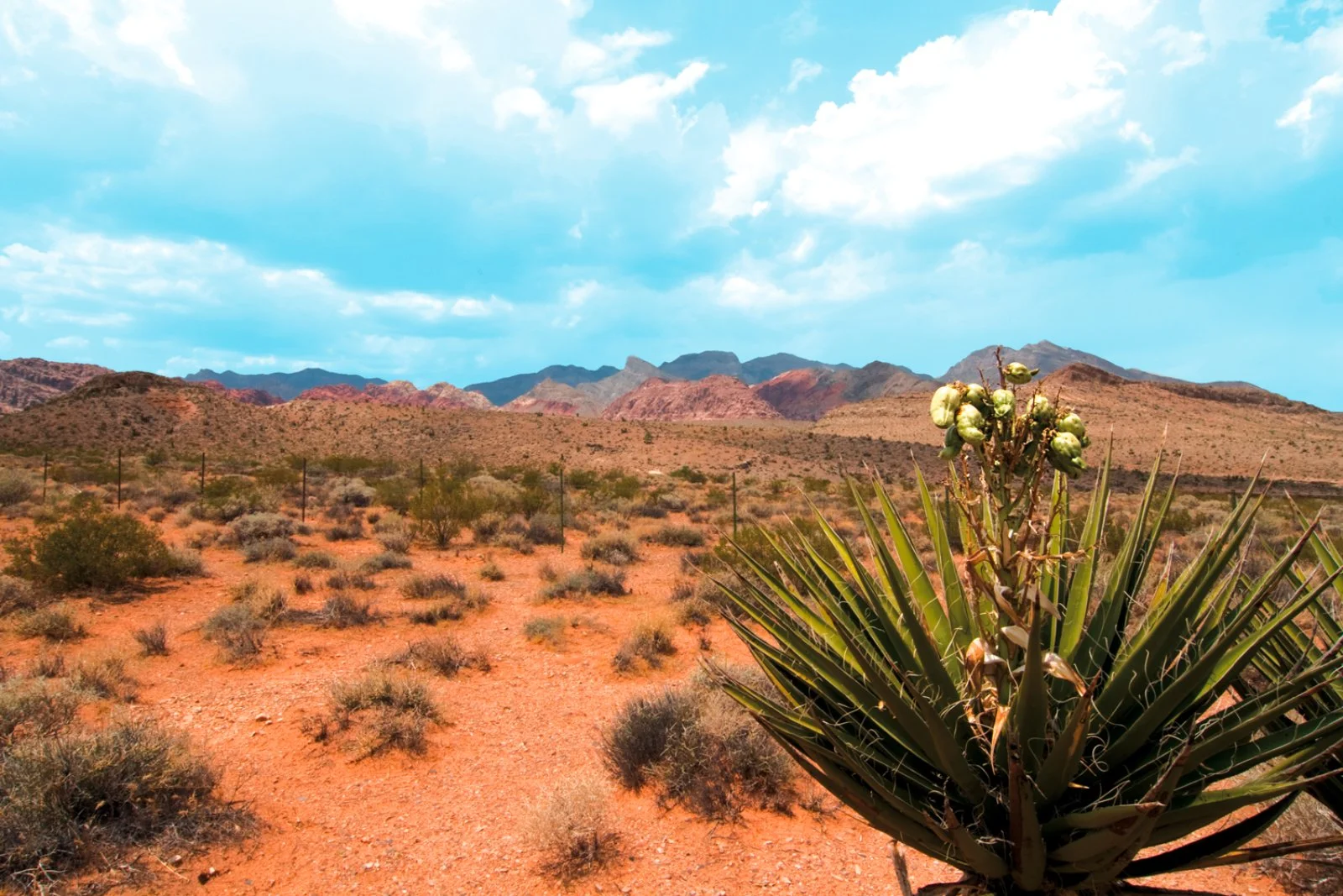 Laughlin - Las Vegas - immagine 2 di 3