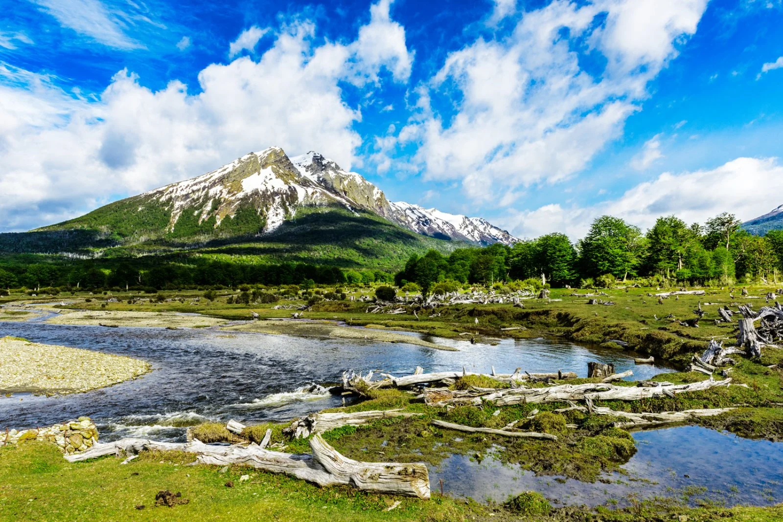 Ushuaia - Navigazione del Canale di Beagle - Ushuaia