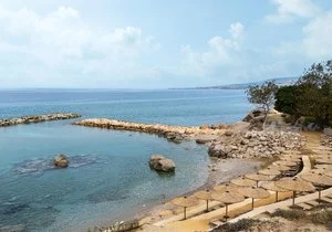 LEONARDO LAURA BEACH – Cipro