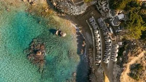 LEONARDO LAURA BEACH – Cipro