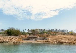 LEONARDO LAURA BEACH – Cipro