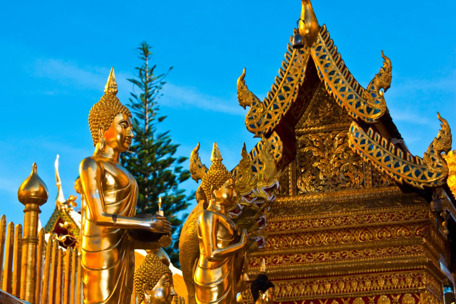 Chiang Mai - Hong Kong