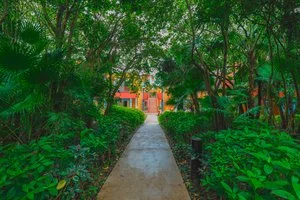SEACLUB CATALONIA PLAYA MAROMA – Quintana Roo