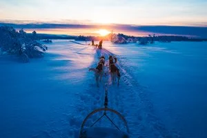 INCANTESIMO LAPPONE WILD – Saarenkylä