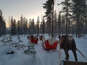 INCANTESIMO LAPPONE WILD – Saarenkylä