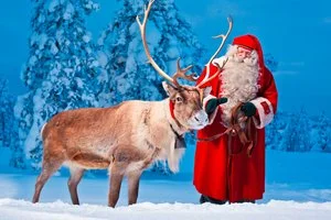 INCANTESIMO LAPPONE WILD – Saarenkylä