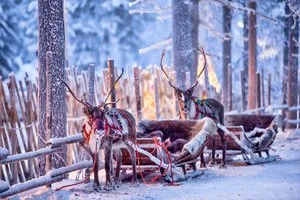 INCANTESIMO LAPPONE WILD – Saarenkylä