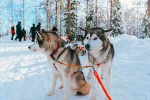 INCANTESIMO LAPPONE CLASSIC SANTA'S HOTEL – Saarenkylä