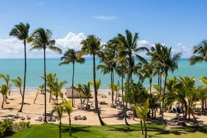 VIVA MICHES – Miches