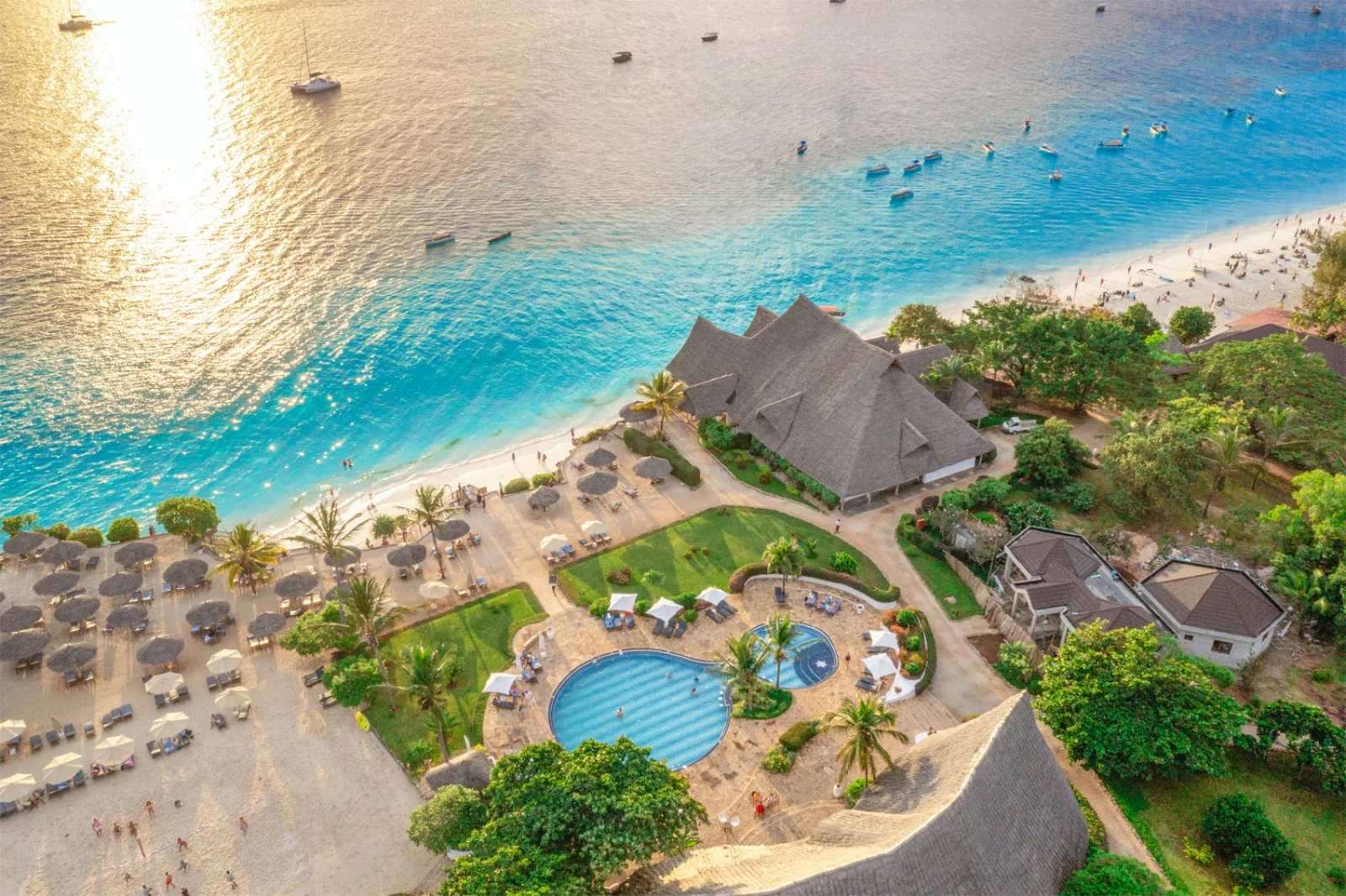 Offerte Bravo Premium Sandies Baobab