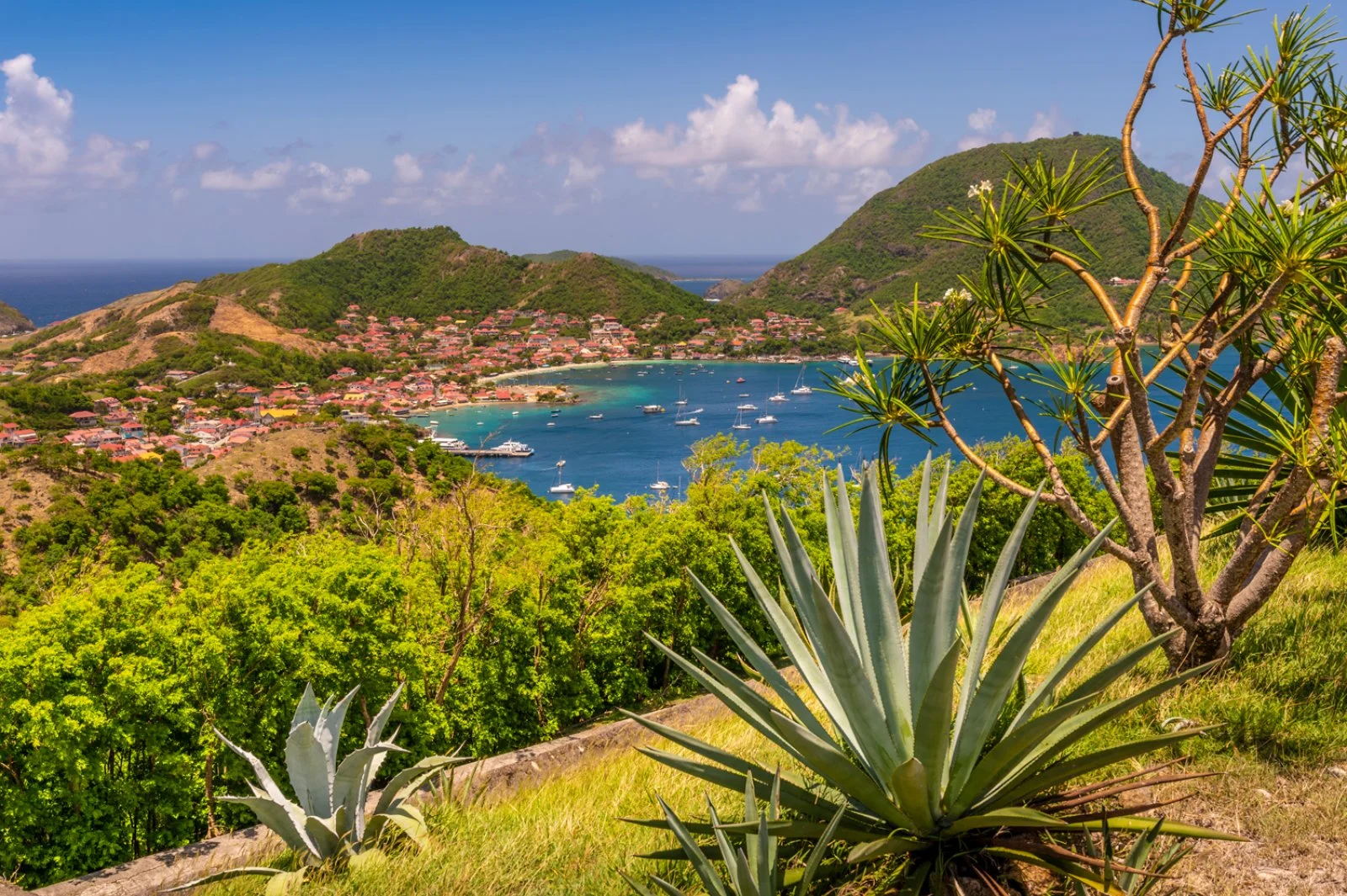 Guadalupa - Martinica - immagine 1 di 2