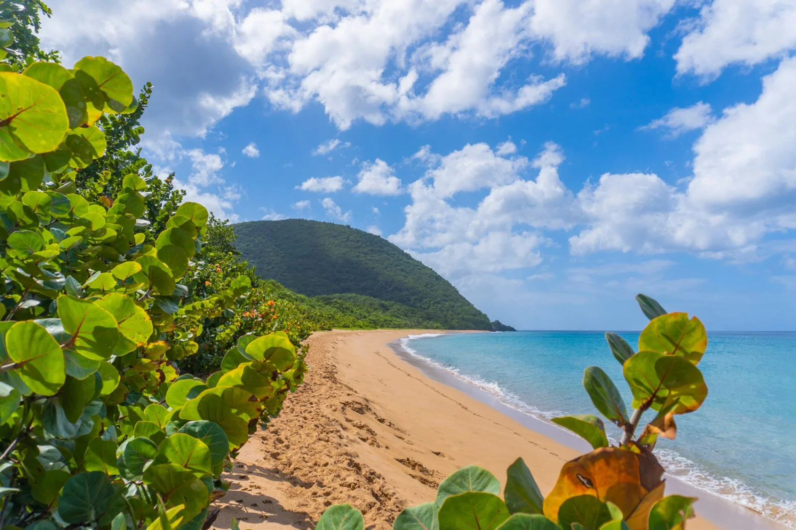 Guadalupa E Martinica Creole 