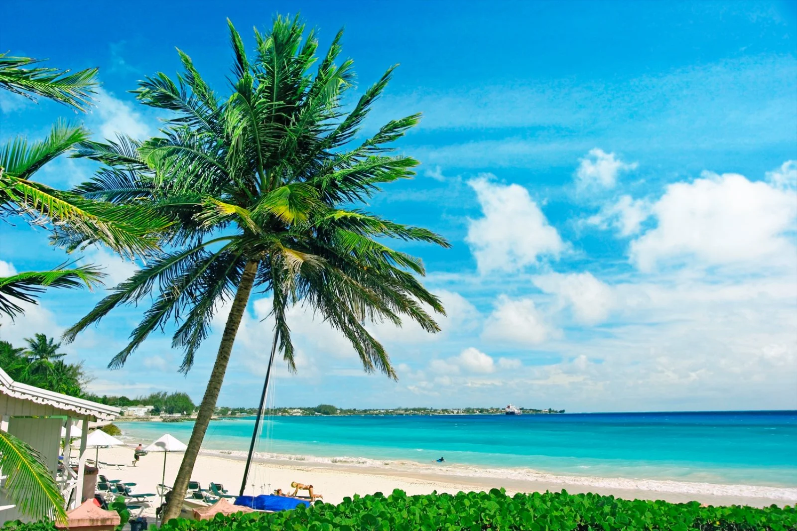 L'Incantevole Barbados - Barbados