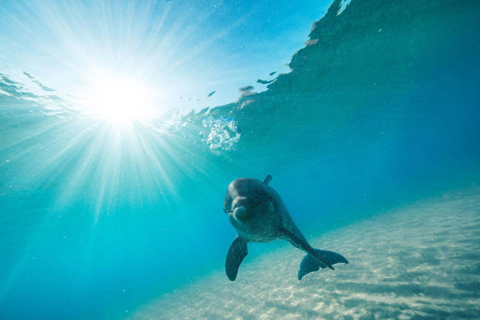 Nassau - immagine 2 di 2