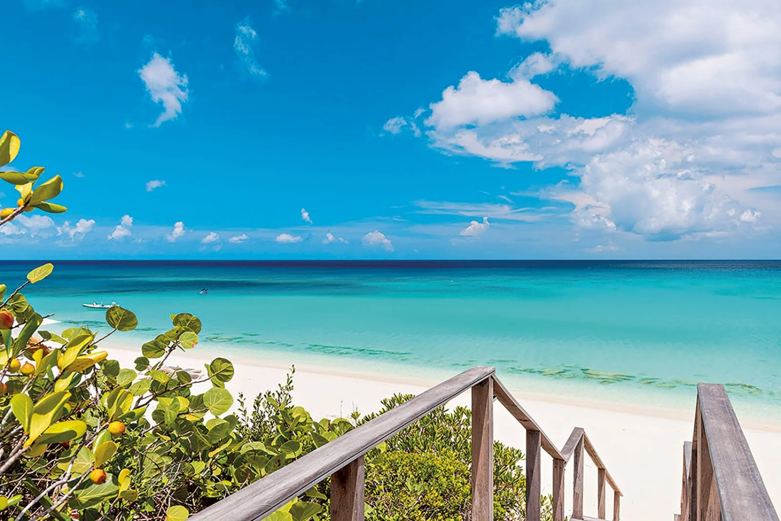 Suggestive Turks And Caicos 