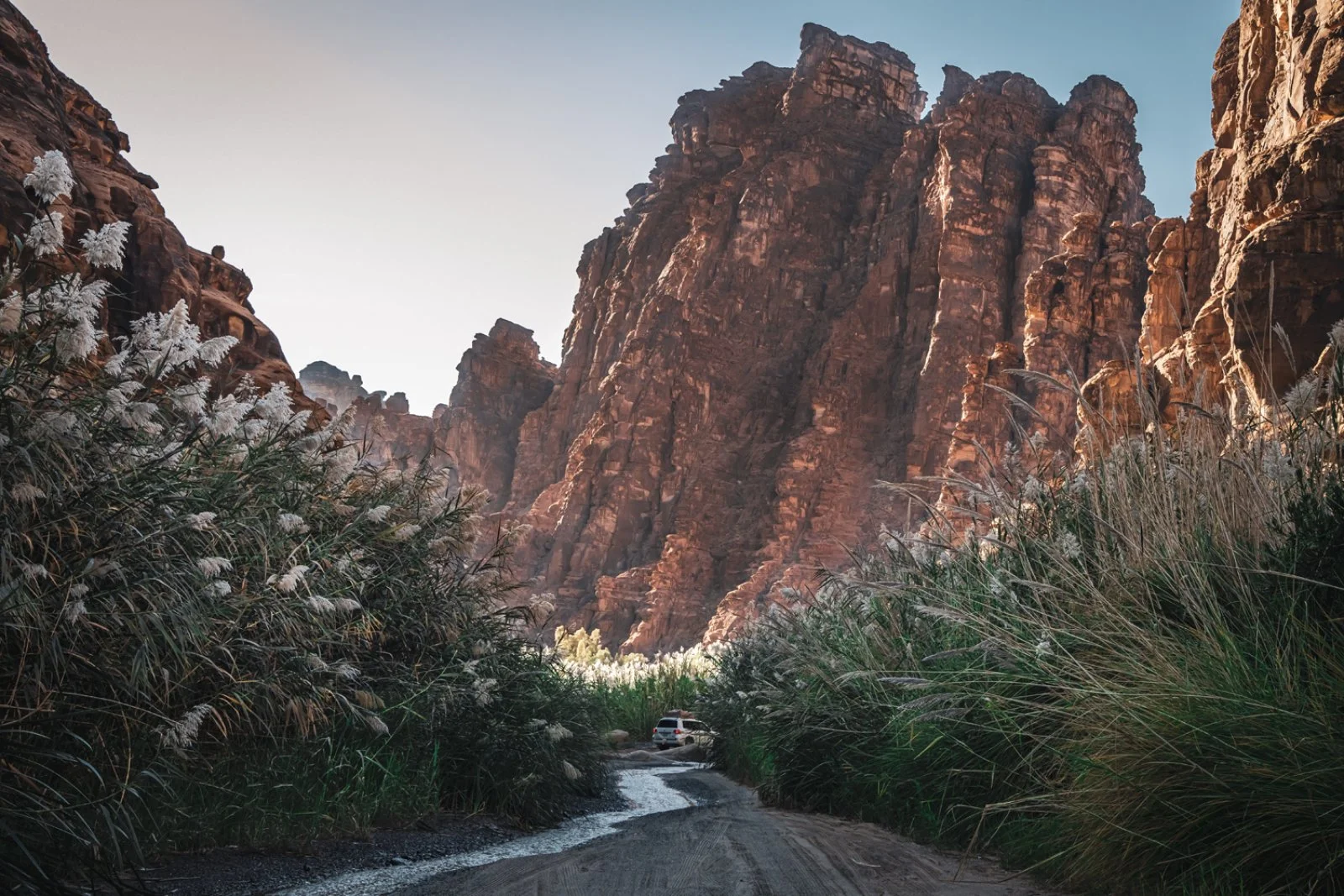 Tabuk - Wadi Ad Disah - AlUla - immagine 6 di 9