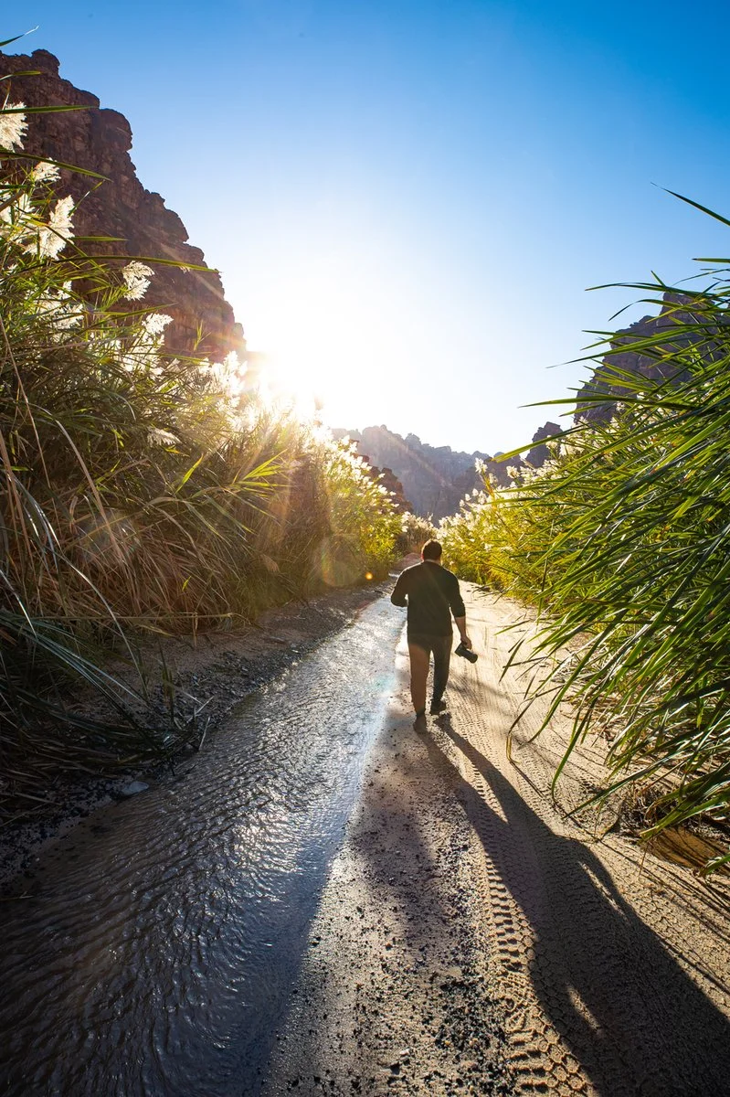 Tabuk - Wadi Ad Disah - AlUla - immagine 5 di 9