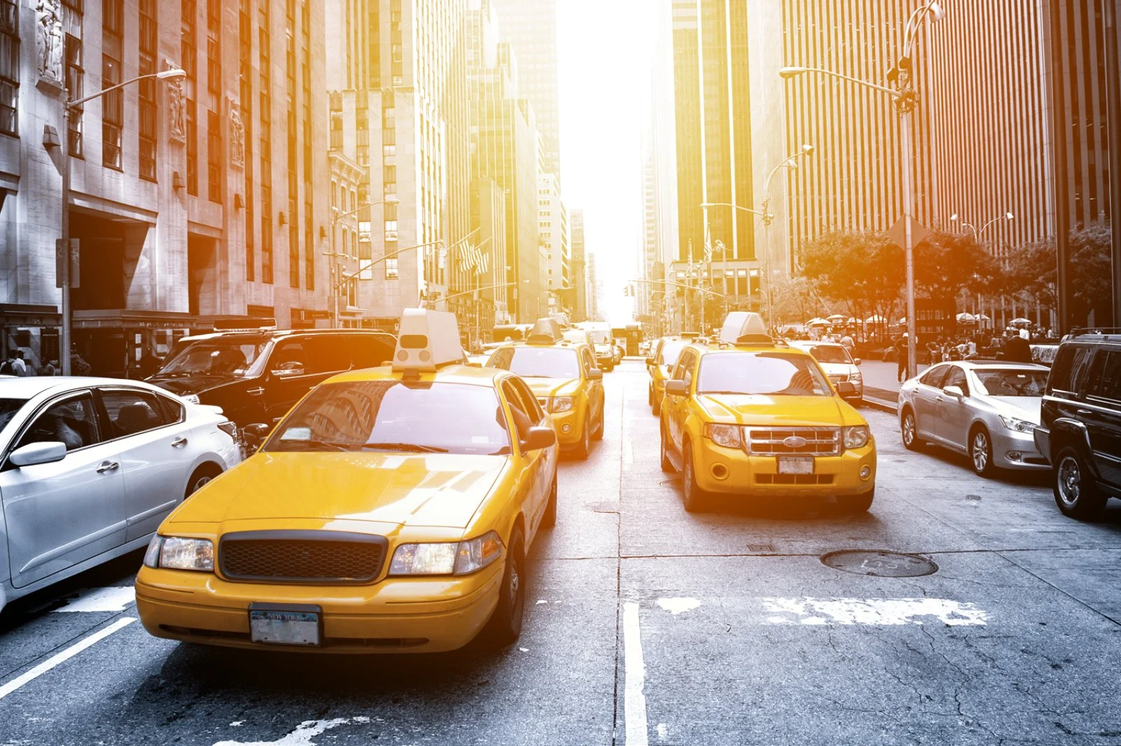 New York E Repubblica Dominicana 