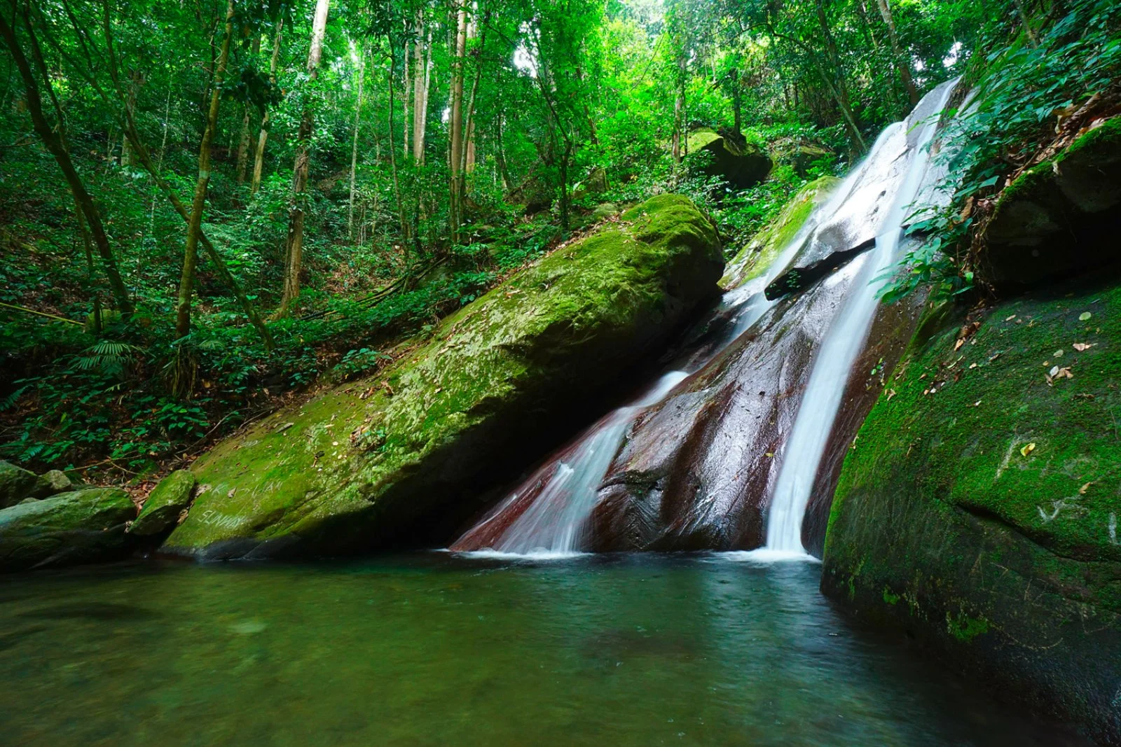 Mulu Caves - Kota Kinabalu - immagine 2 di 2