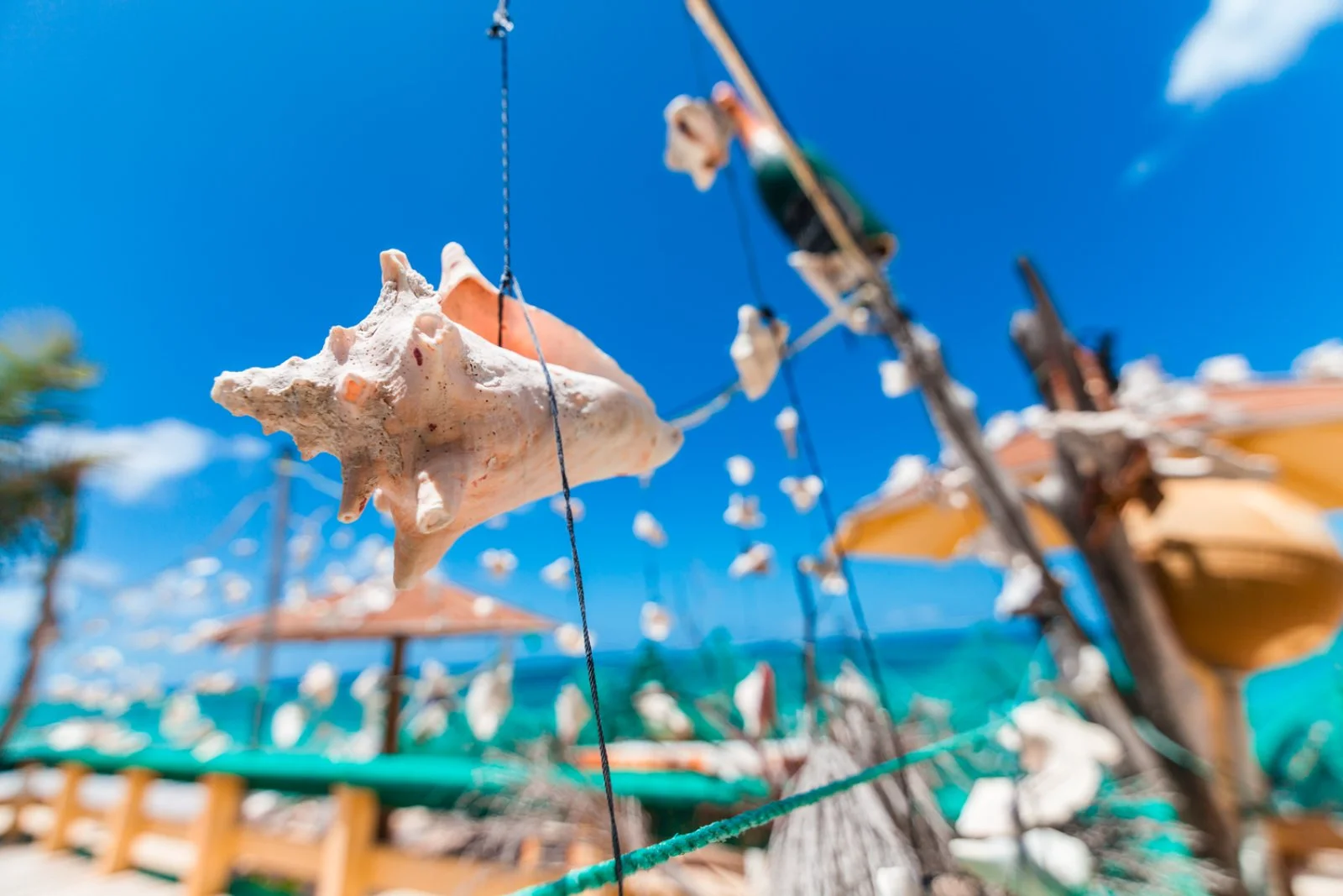 Antigua - immagine 2 di 3