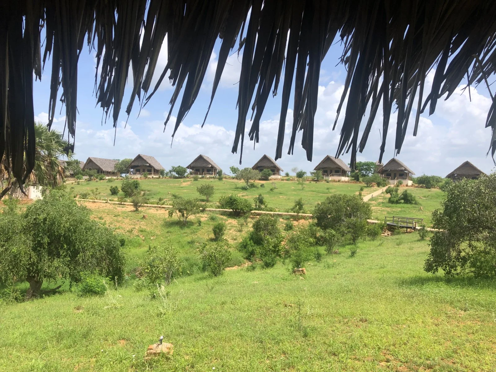 Safari Bravo Esplora Tsavo Est Escape 