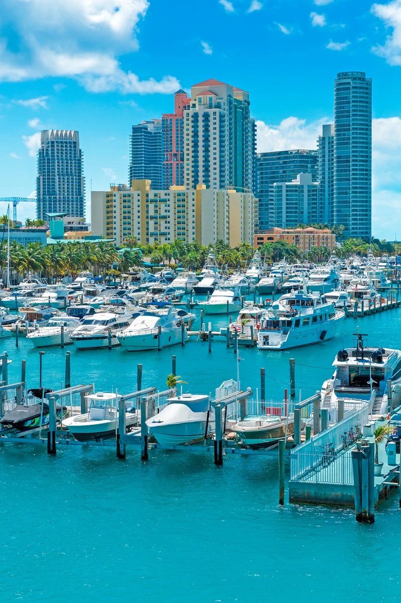 New York - Miami - immagine 2 di 4