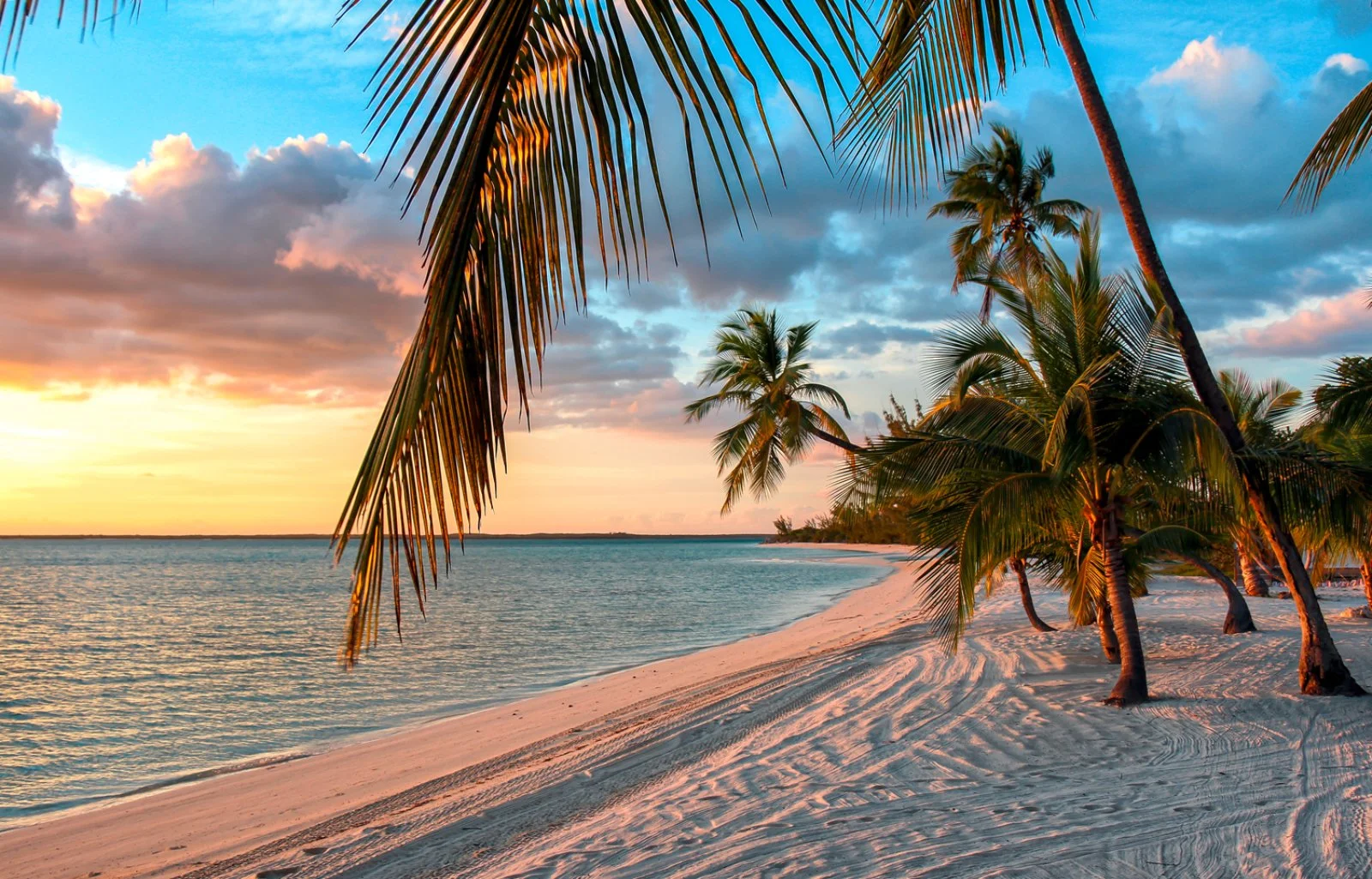 Bahamas - immagine 5 di 6