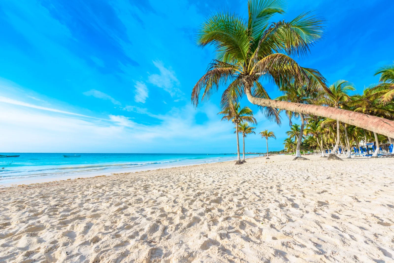 Riviera Maya - immagine 1 di 4