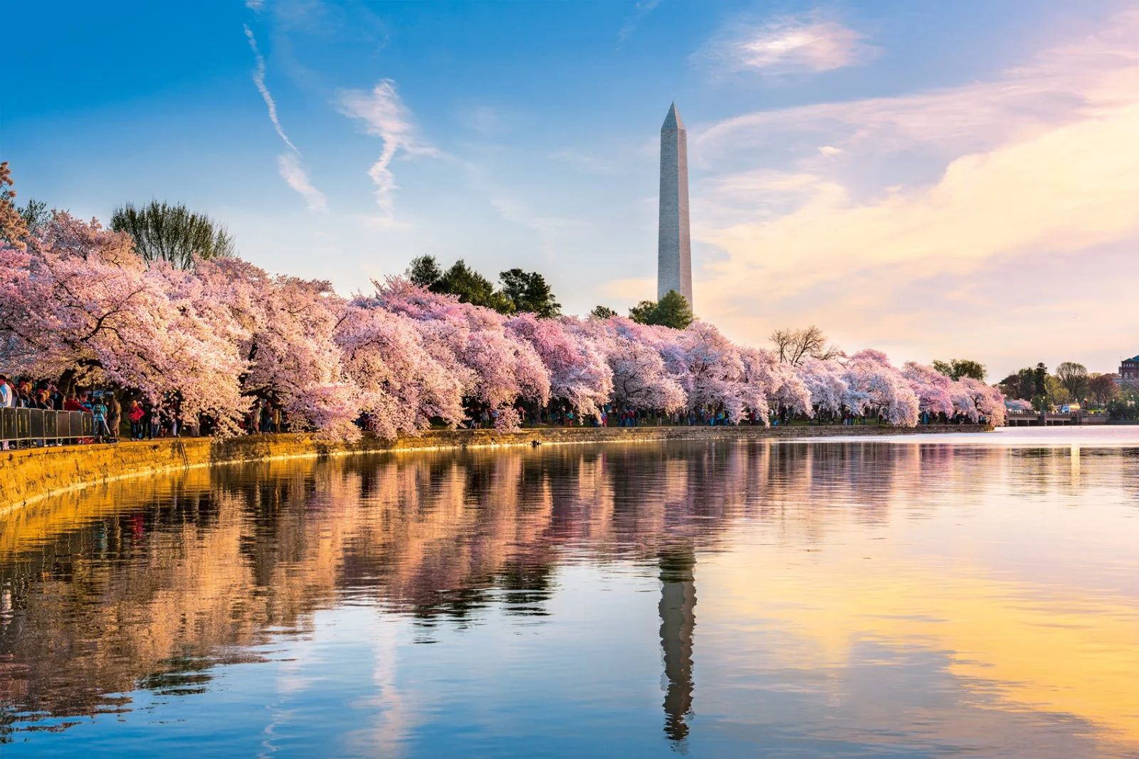 Lancaster - Washington D.C. - immagine 3 di 3