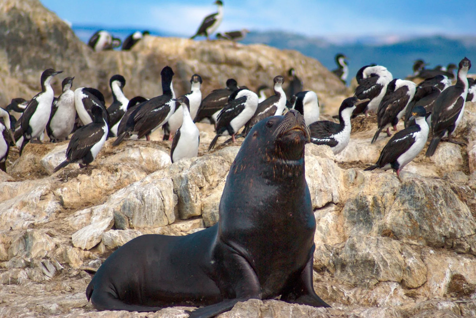 Puerto Madryn - Trelew - Ushuaia - immagine 1 di 3