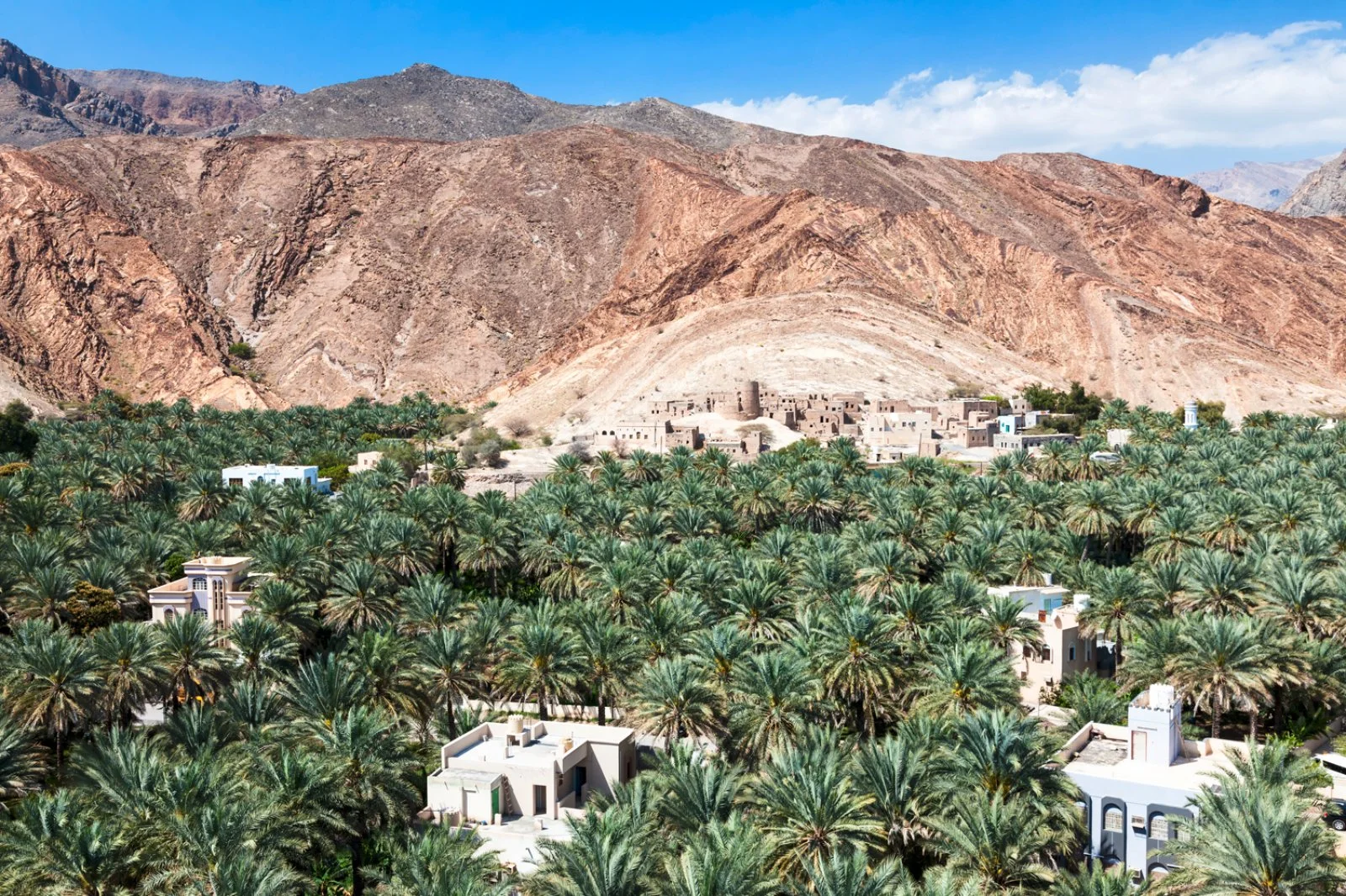 Nizwa - Villaggio Birkat Al Maouz - Jebel Akhdar - immagine 2 di 7