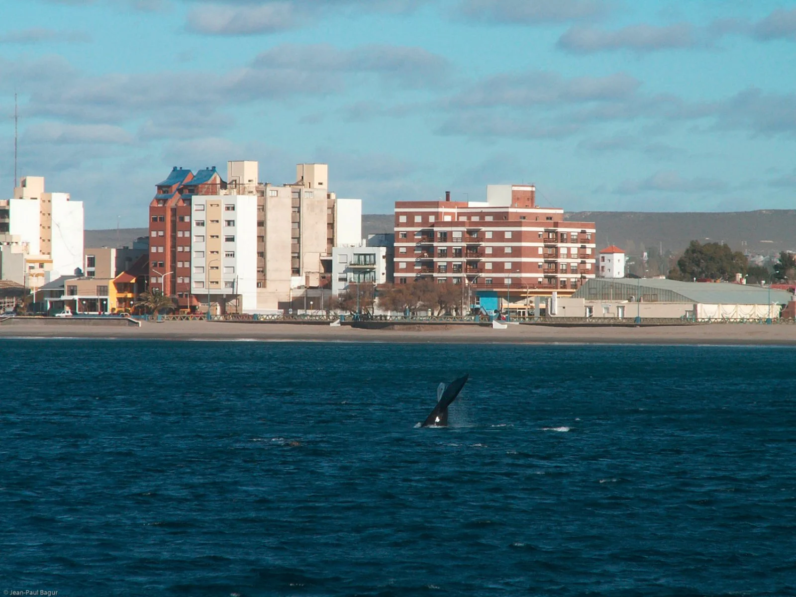 Puerto Madryn - Penisola Valdés - Puerto Madryn - immagine 1 di 3