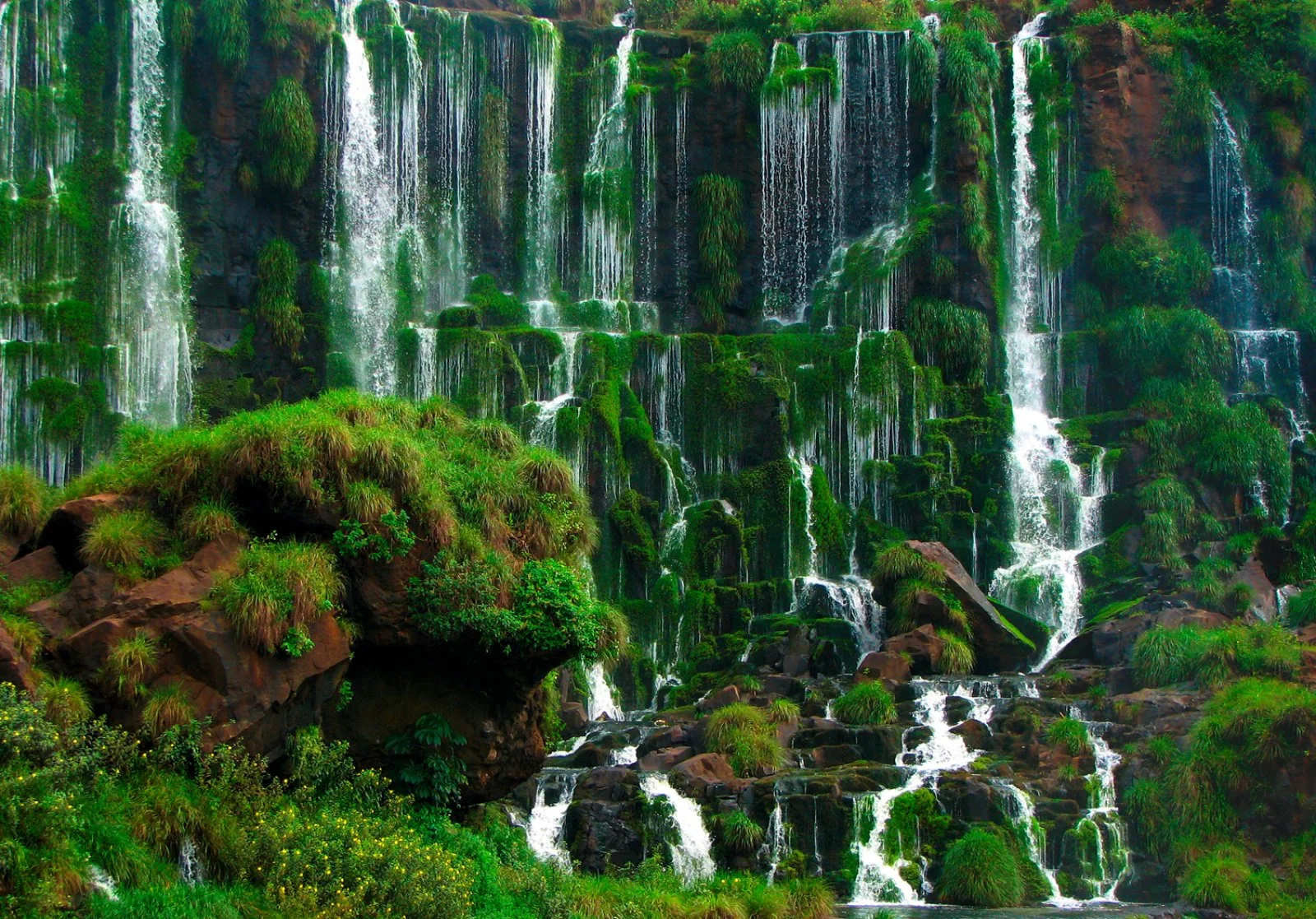 Buenos Aires - Puerto Iguazú - Cascate Iguazú lato Brasiliano - Puerto Iguazú - immagine 3 di 4