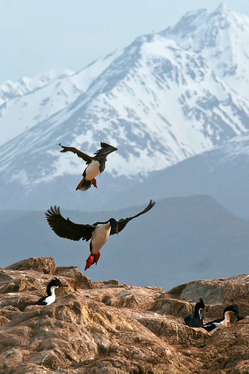 Puerto Madryn - Trelew - Ushuaia - immagine 3 di 4